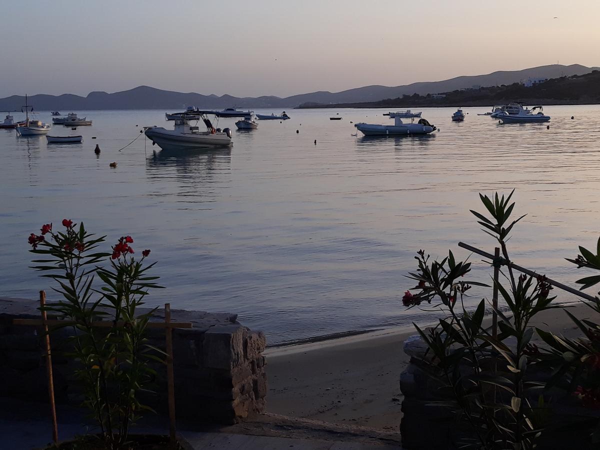 Holidays In Paros Alikí Exterior foto